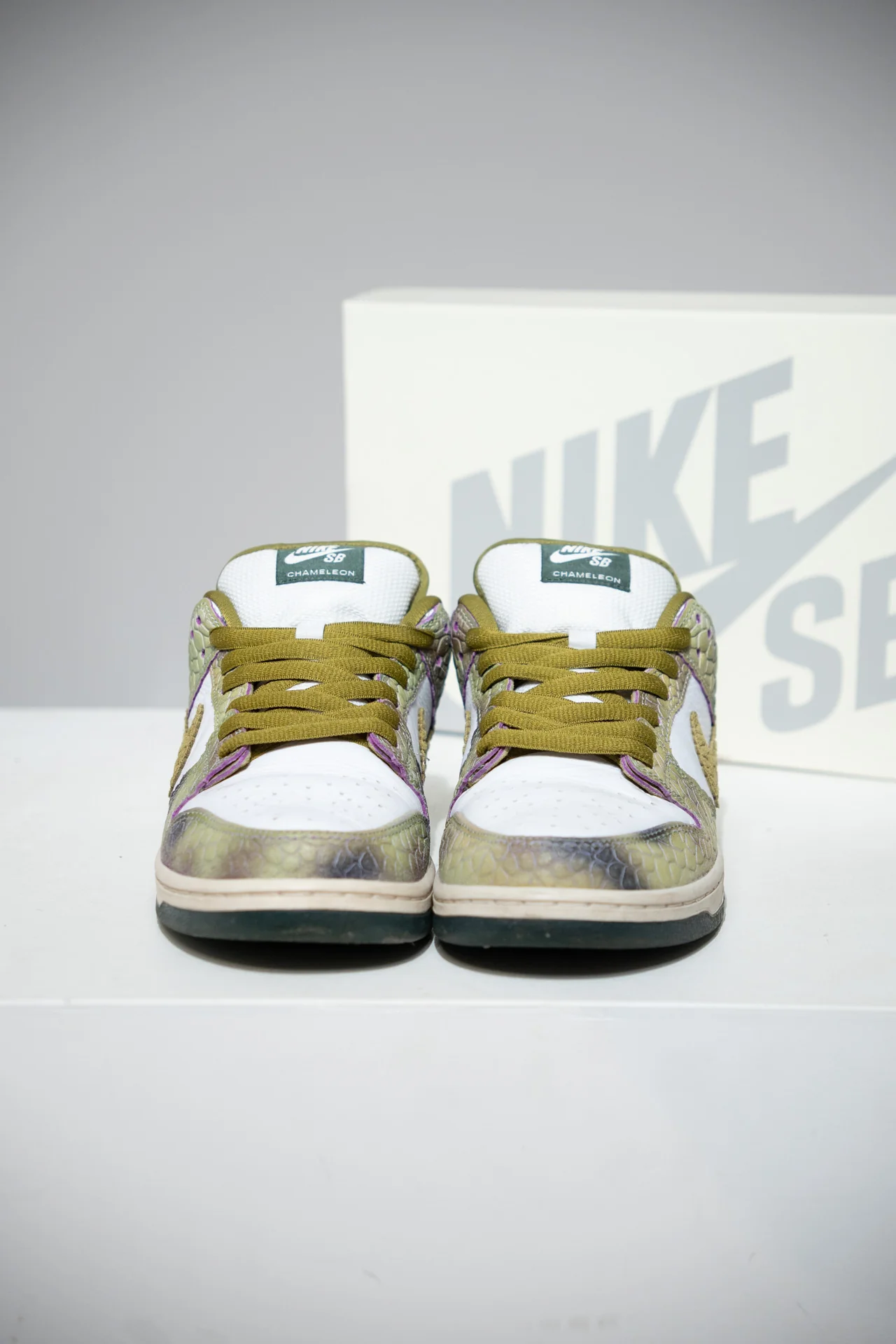Dunk SB Chameleon (Taille 42,5) - Image 7