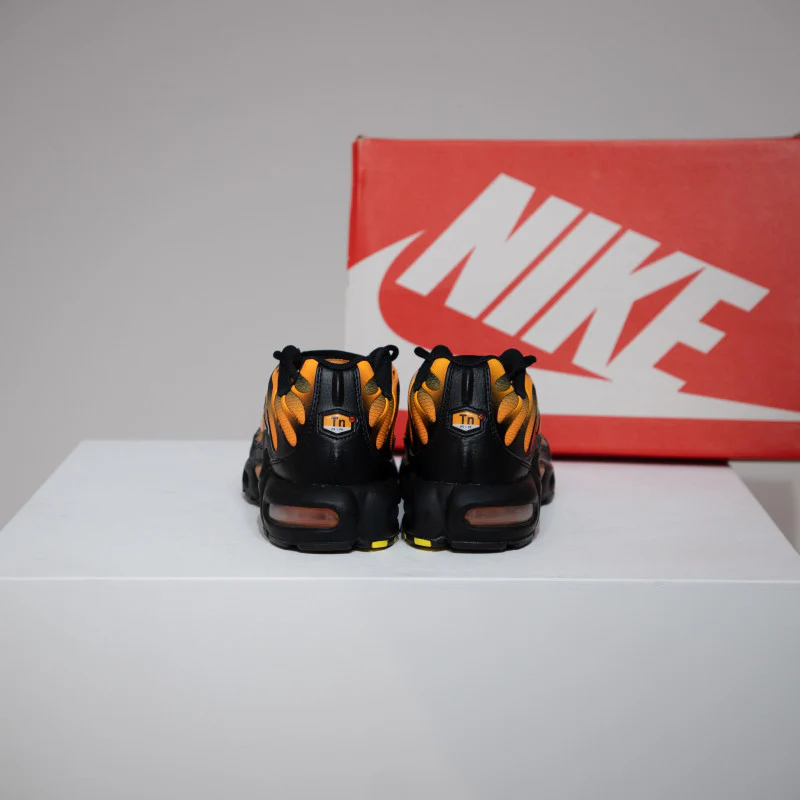 Air Max Plus (TN) Sundial Black (Taille 45,5) - Image 5