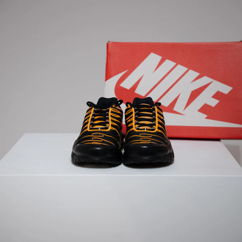 Air Max Plus (TN) Sundial Black (Taille 45,5) - Image 6